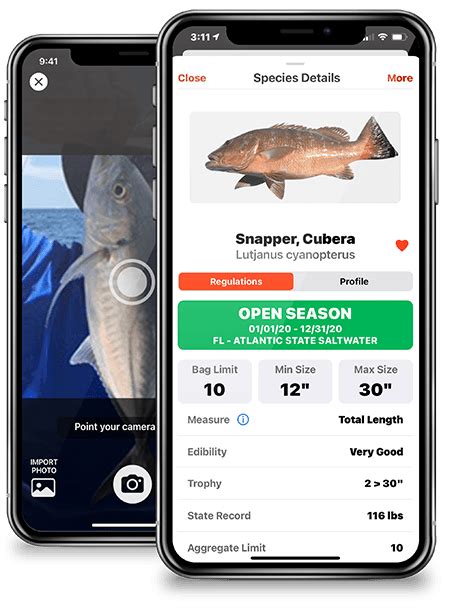 FishVerify – Species Identification & Local Fishing .